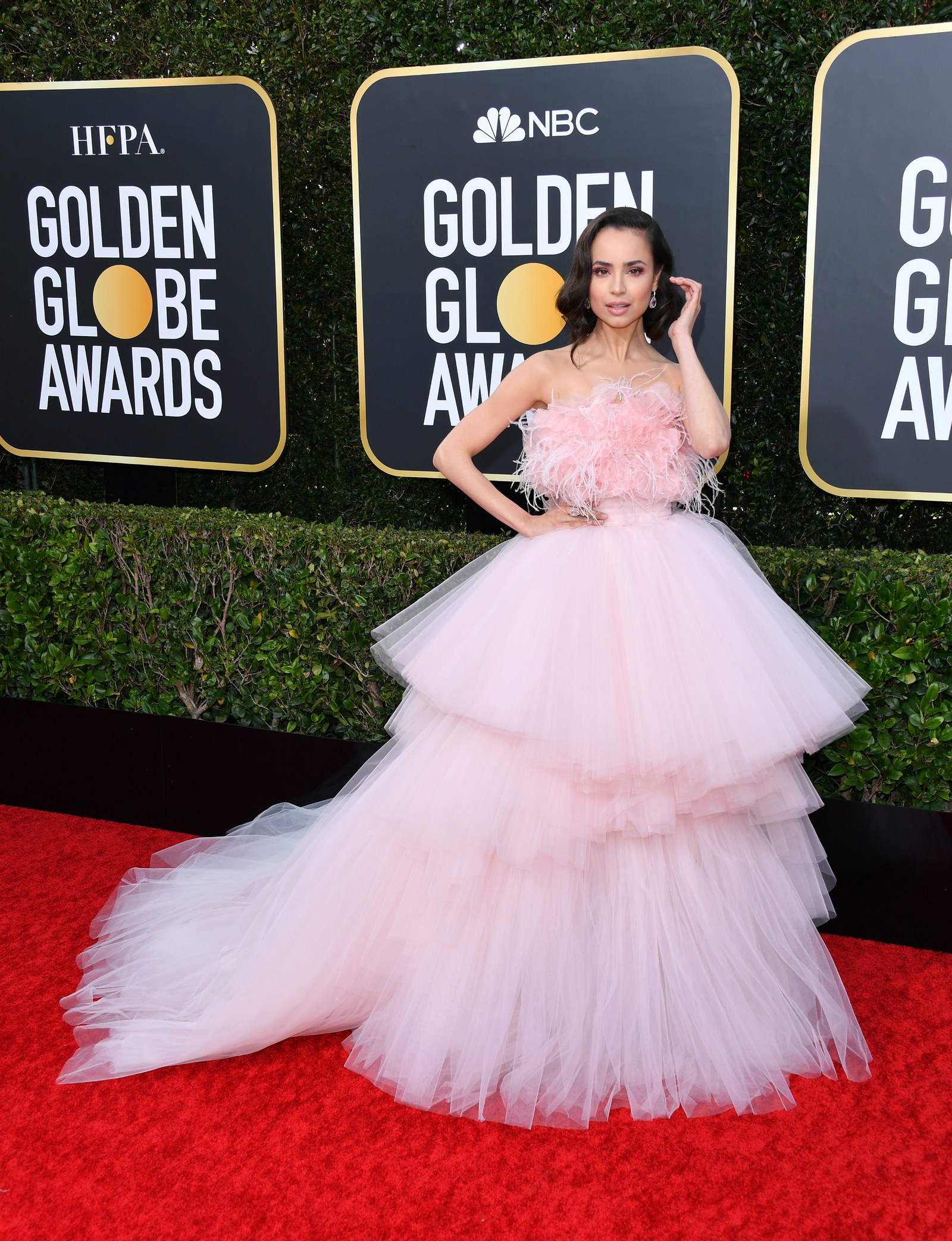 София Карсон, Giambattista Valli