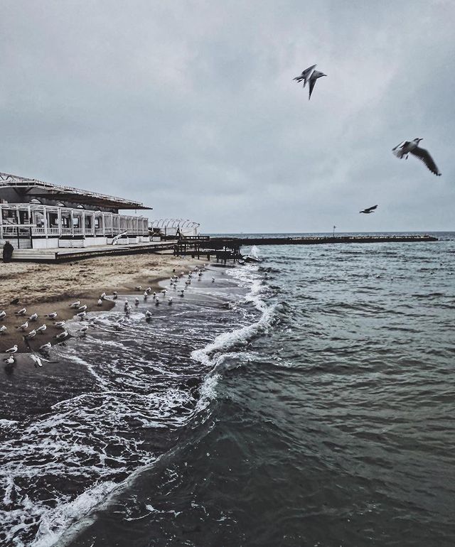 Одесса попала в рейтинг популярных европейских городов в Instagram