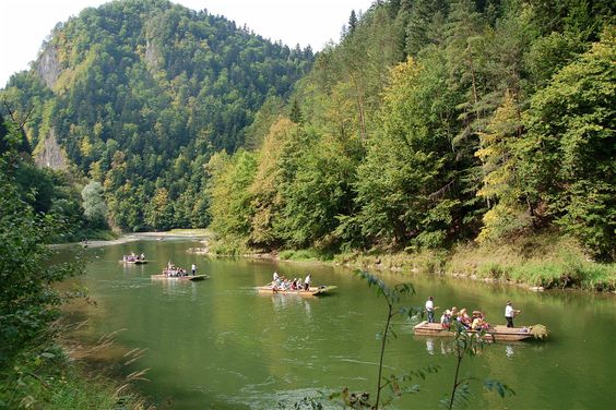 Отдых в Карпатах