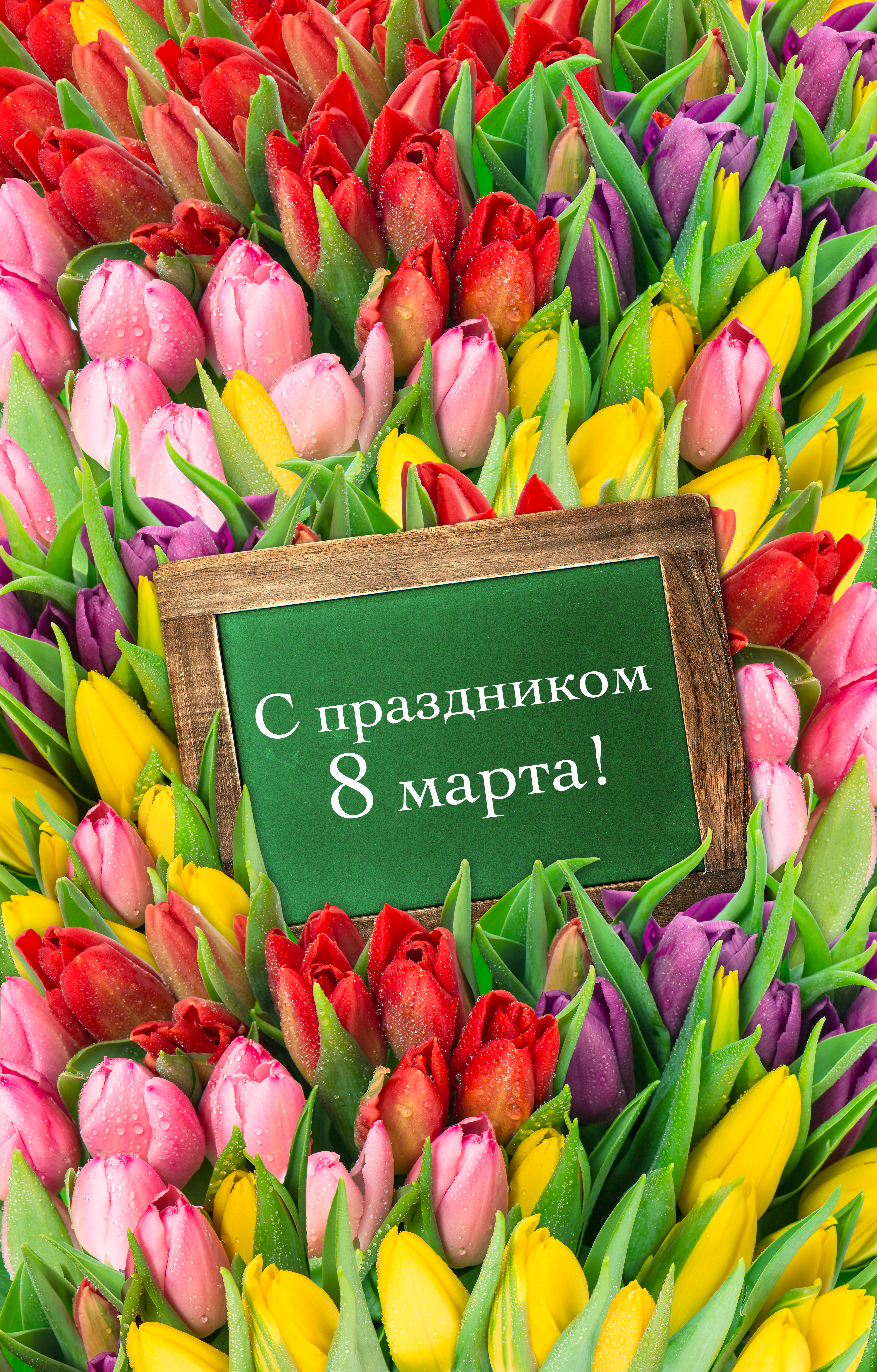 Открытка на 8-мое марта Открытка на 8-мое марта