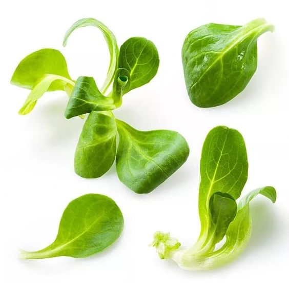 Салат корн (рапунцель)