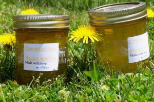 Варенье из одуванчиков Варенье из одуванчиков