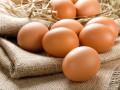 Как правильно хранить яйца