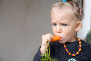 В рационе твоего ребенка обязательно должны быть сладкие на вкус овощи, такие, как морковь В рационе твоего ребенка обязательно должны быть сладкие на вкус овощи, такие, как морковь