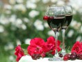 Как сделать вишневое вино в домашних условиях