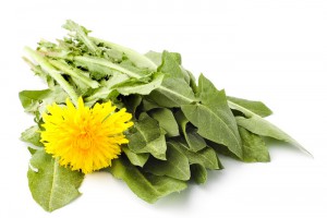 Из одуванчиков можно приготовить вкусное варенье Из одуванчиков можно приготовить вкусное варенье