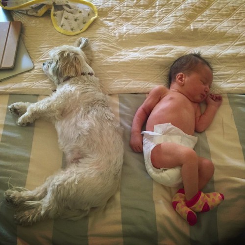Новорожденная дочь Милы Йовович спит с собакой