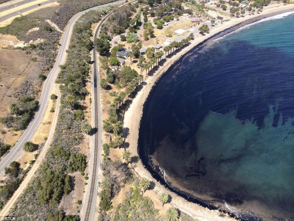 Личный пляж Джоли и Питта загрязнен нефтью 