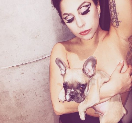 Lady GaGa с собакой