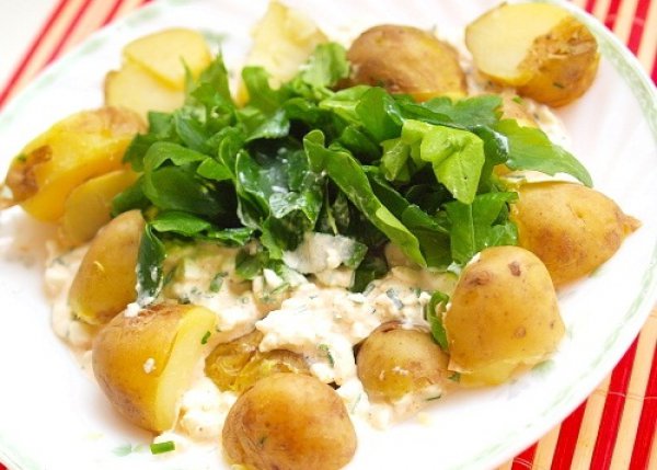 Рецепт 
                Отварной картофель с творожным соусом
            
